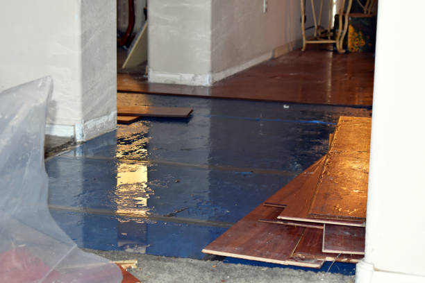 Professional Burst Pipe Cleanup technician working in Wellington, TX