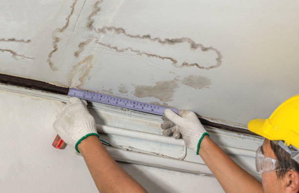 Reliable Burst Pipe Cleanup contractor in Wellington, TX by Water Damage Irwin